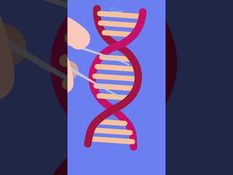 Video: Apakah mRNA mati?