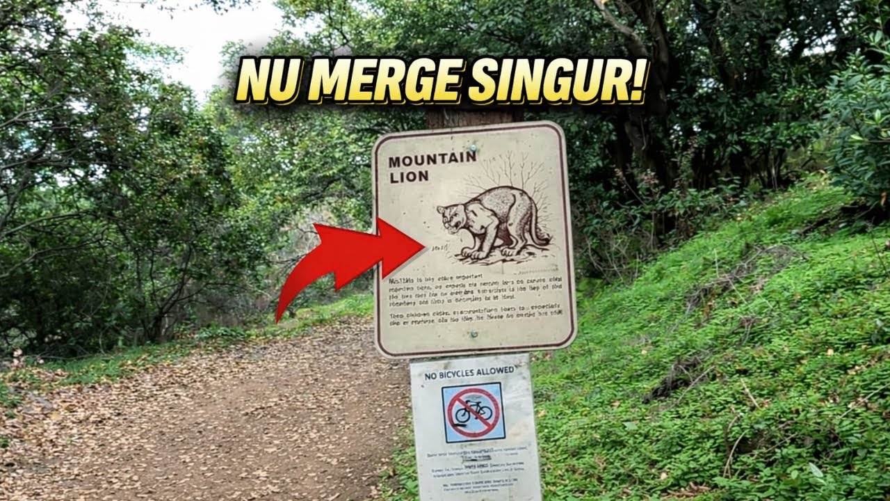 Alum Rock: Cel mai periculos parc din Silicon Valley?