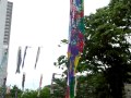 鯉のぼりの様子0505@東京墨田区東白髭公園