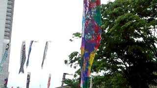 鯉のぼりの様子0505@東京墨田区東白髭公園
