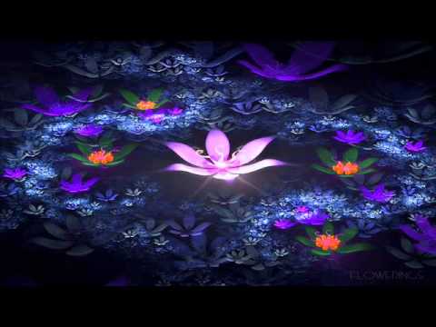 Shogun lotus original mix