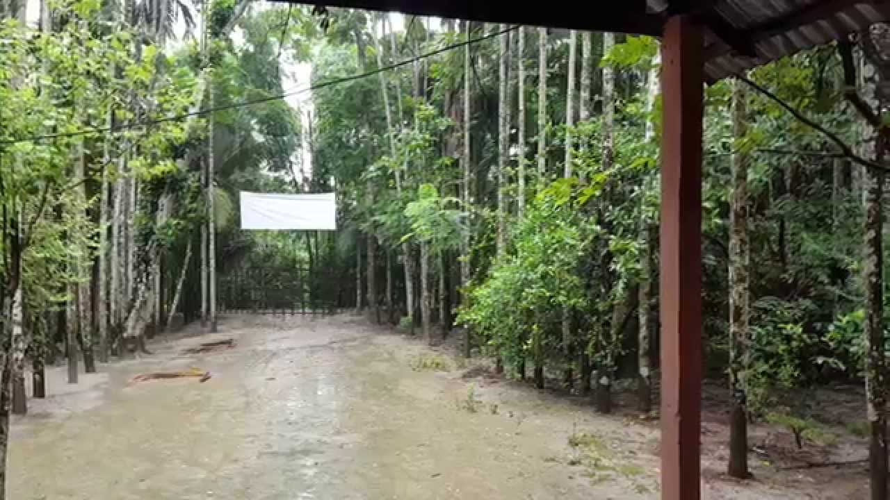 beauty of nature rainy season youtube