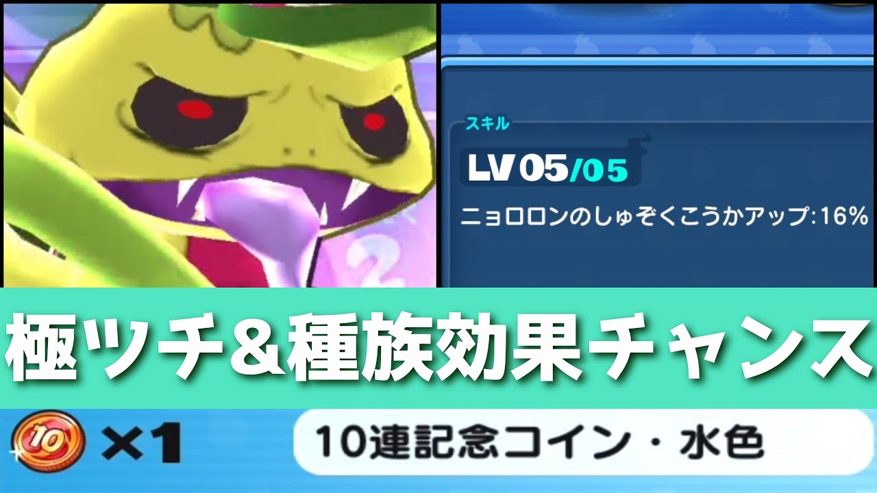 ぷにぷに「本日無料配布」極ツチノコとZZ種族効果が手に入る大チャンス到来！？(100ヶ月記念イベント,妖怪ウォッチぷにぷに)