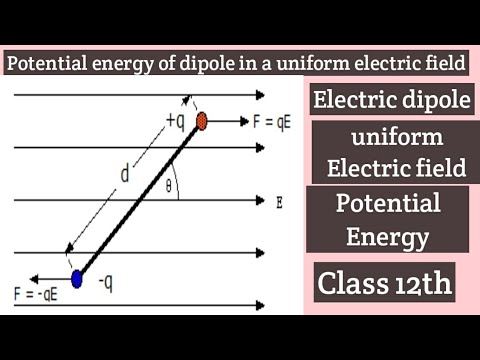 potential energy of dipole placed in uniform electric field ...