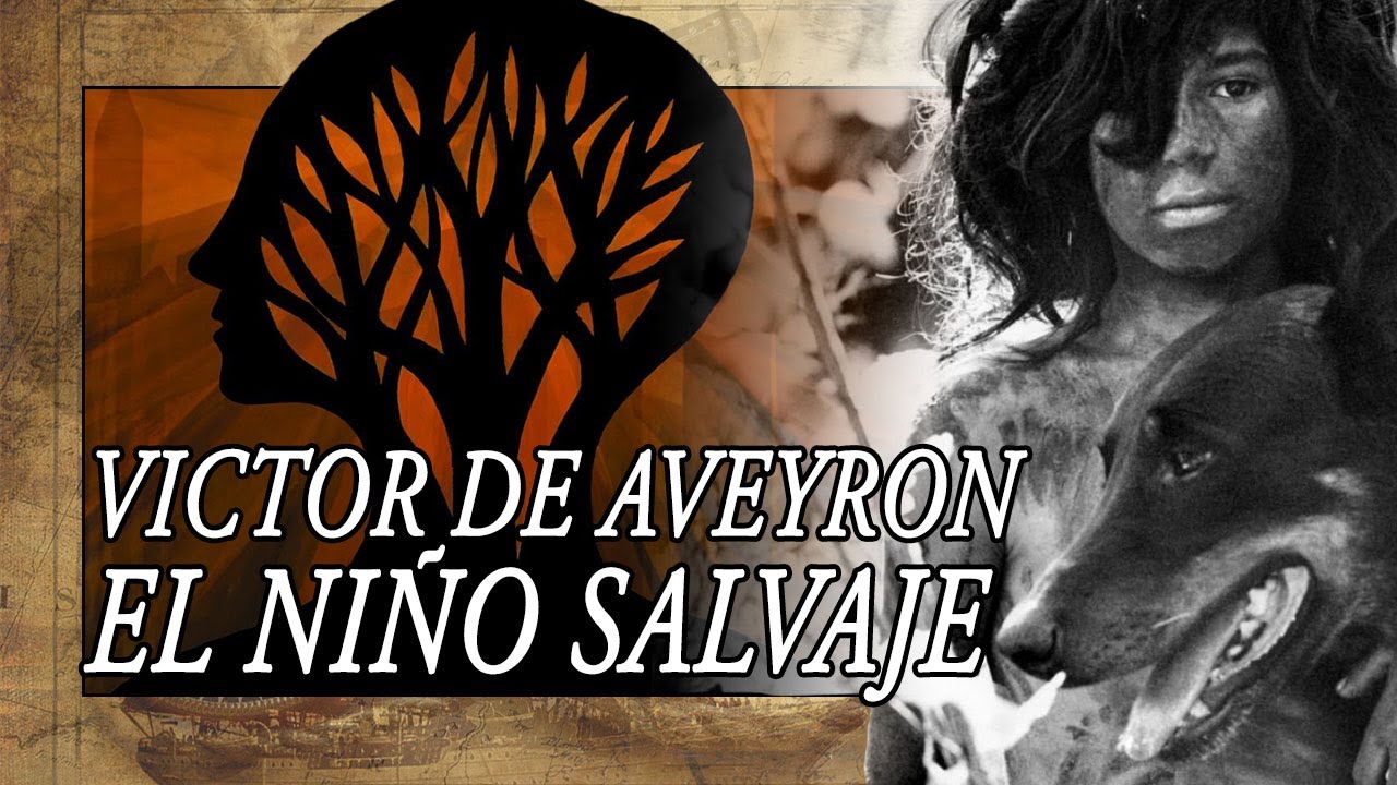 Historia Del Niño Salvaje De Aveyron