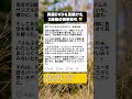 「英語ペラペラ!?」聞き流しDVDで覚醒した2歳娘。口にしたのはまさかの「営業トーク」だったｗ #育児 #面白い話