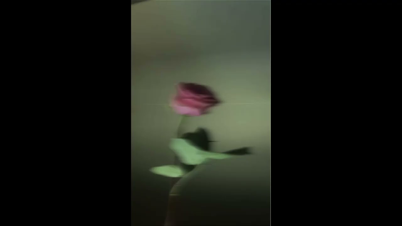 A blissful spring is coming