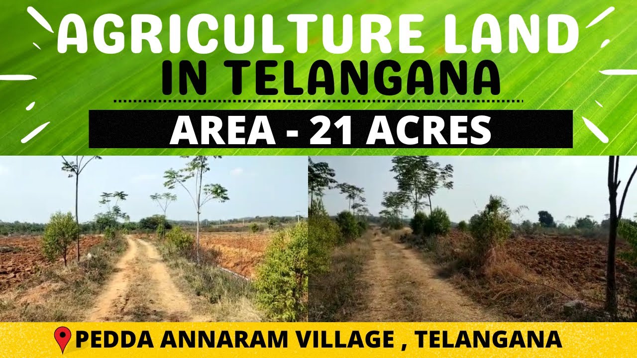 Pitlam PITLAM : 21 ACRES AGRICULTURE LAND FOR SALE | NIZAMPET | YELLAREDY ...