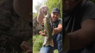 Is it football season yet? smallmouth bass from my local creek, #creekfishing #smallmouthbass