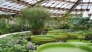 Greenhouse technology | Wikipedia audio article