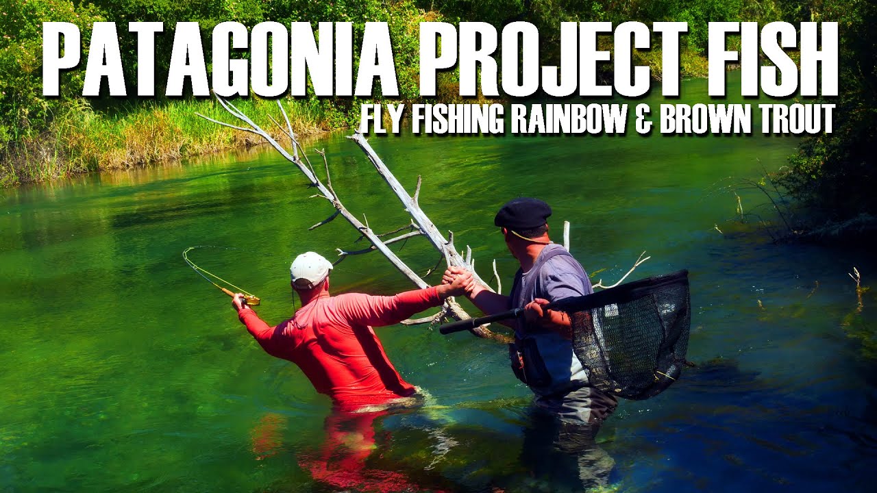 Patagonia Project Fish - Tough Conditions Fly Fishing Rainbow & Brown Trout  in Patagonia 