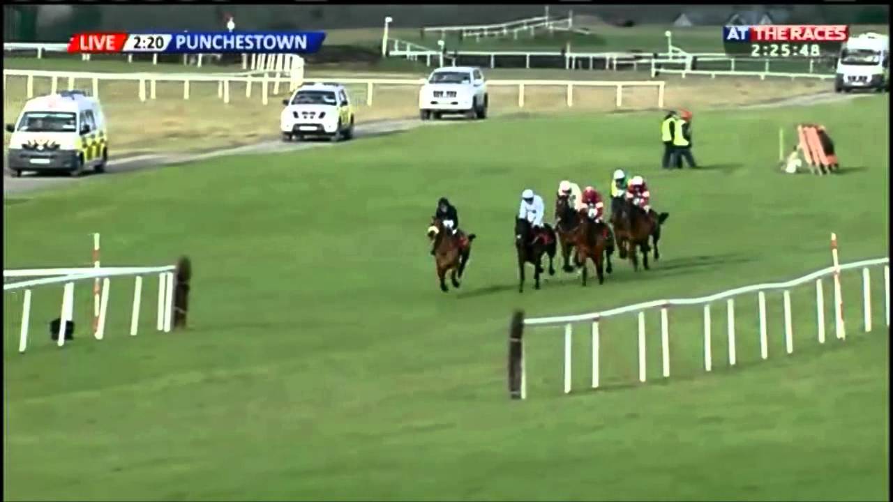 Douvan - Moscow Flyer Novice Hurdle (G2) 2015