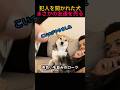 犯人を聞かれた犬、まさかの友達を売る