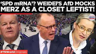 Merz Cornered: Coalition Talks Stalled as AfD and SPD Tighten Grip | Times Now World