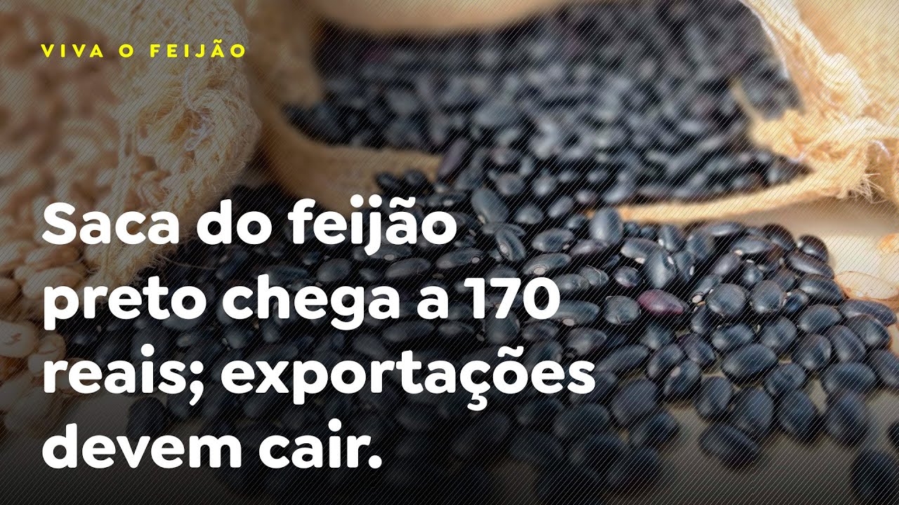 Saca do feijão preto chega a 170 reais; exportações devem cair