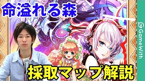 白猫 命あふれる森