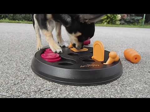INTELLIGENZSPIELZEUG FÜR HUNDE | Strategiespiel Trixie