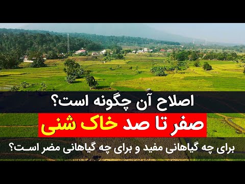 تصویری: باغهای فقط مالچ - اطلاعاتی در مورد استفاده از مالچ در جای خاک