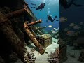 Сокровища которые никто не должен был найти кладоискатели сокровища находки МелФишер 
