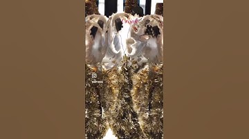 @OliviaSheppard-fi3jw#viralvideo #trending #crank#shorts#shortsvideo #viral#video #trendingshorts