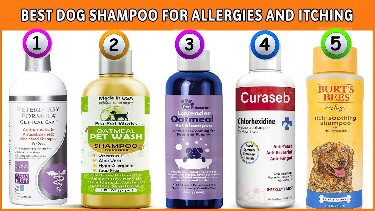 best soothing dog shampoo