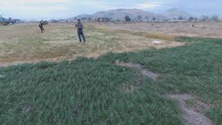 Bebop 2 + Skycontroller 1