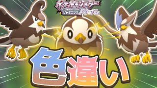 ポケモンbdsp 色違いのムックルが欲しい ムクバードが欲しい ムクホークが欲しい ゆっくり実況 ダイパリメイクpart2 Youtube