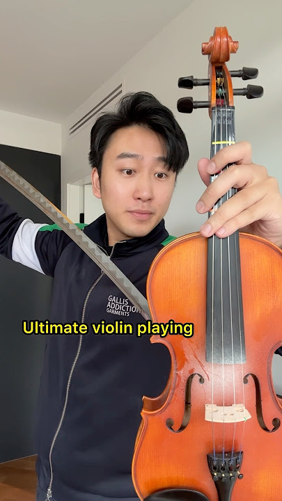 $1 VS $10,000 Violin Bow… #aylex #violin #violinist #violinbow #bow #violinmusic #lacampanella
