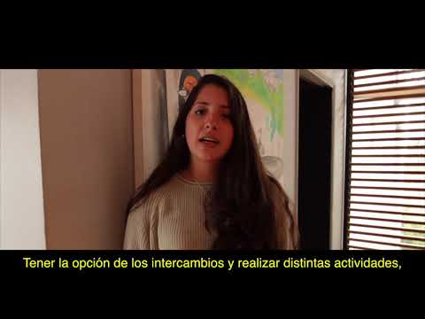 ¿Por qué deberías estudiar Ingeniería en la UDD?