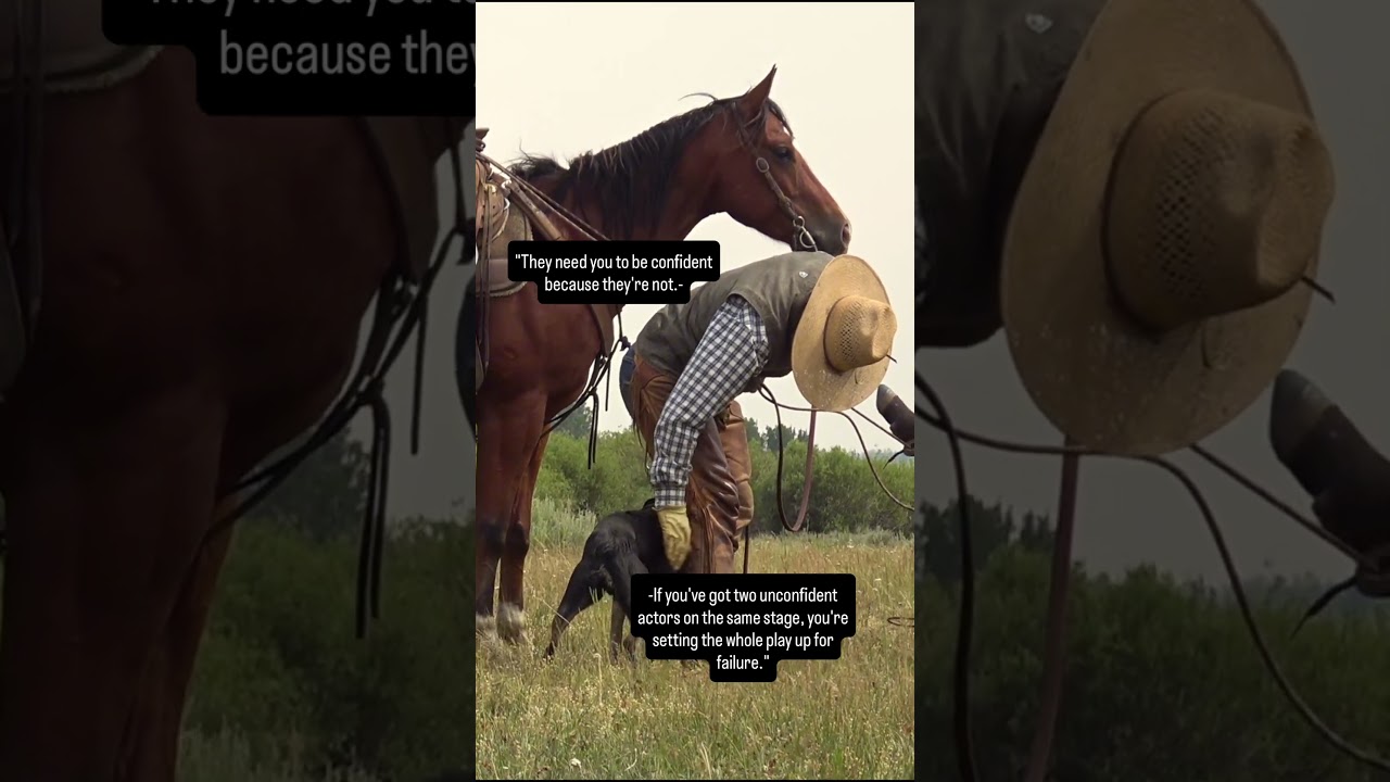 your horse needs you to be confident.
