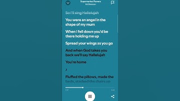 Thumbnail of Supermarket Flowers lyrics - Hallelujah Ed Sheeran