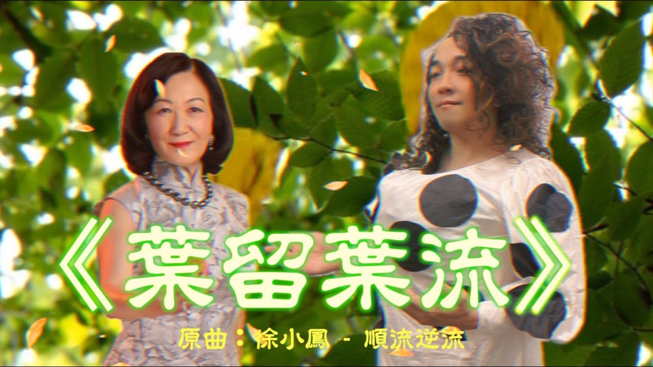 《葉留葉流》晴天林｜葉劉淑儀容海恩放棄競逐連任（原曲：徐小鳳 - 順流逆流）