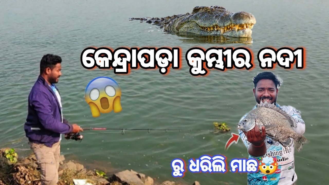 କେନ୍ଦ୍ରାପଡ଼ା🐊କୁମ୍ଭୀର ନଦୀ😥କୁ ଗଲୁ କଟକ ରୁ ମାଛ ଧରିବାକୁ🤯!!ସତରେ ସେଥି ଏତେ କୁମ୍ଭୀର😱#fishingvideo 