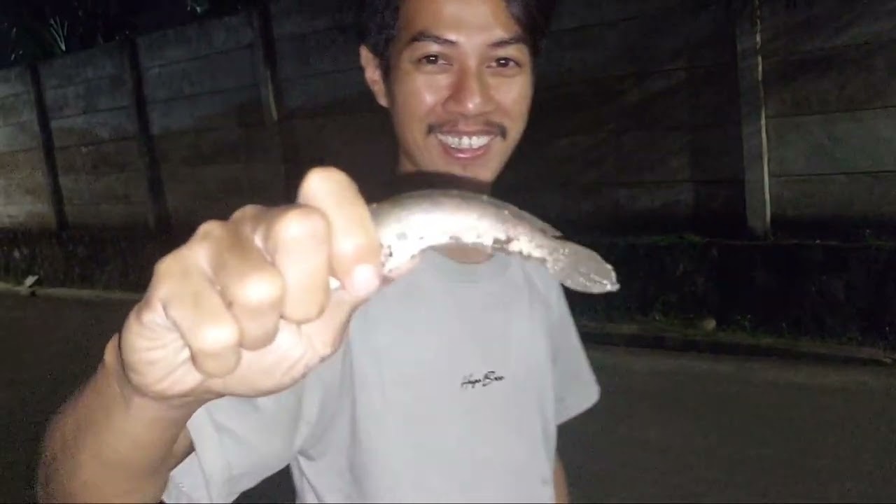 Berburu ikan tengah malam 