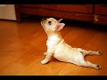 Funny yoga fails  compilation 1