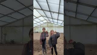 ￼ termy pojeździe konnej jak nam się nic nie hce robić