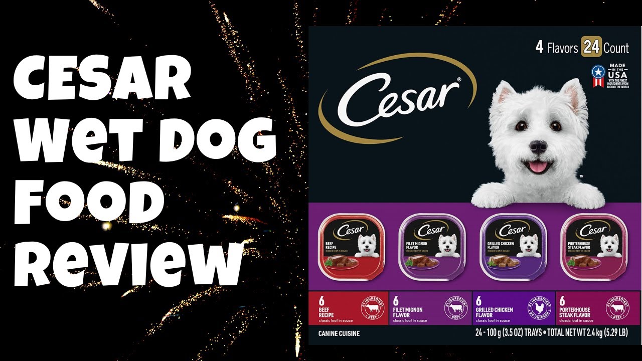 CESAR Wet Dog Food Review YouTube