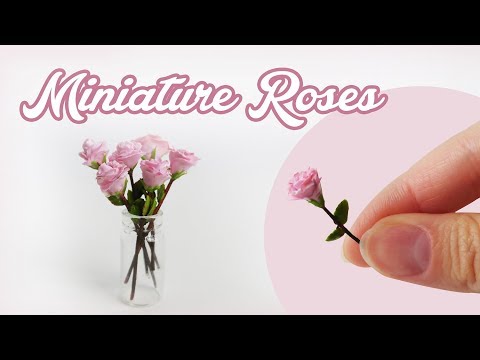 Video: Rosen In Miniatur