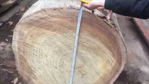 Cách tính khối lượng của 1 cây gỗ tròn và tính thành tiền giá trị 1 khúc gỗ