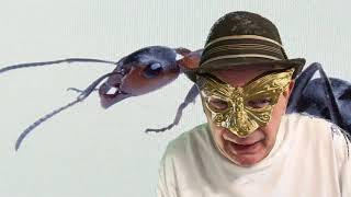 !@#$Ant-Man@#$% will defeat@#$%Thanos@#$% by crawling up his Butt and expanding ; comedy; parody