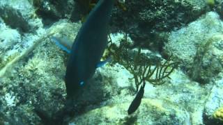 DSCF0683