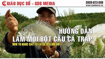 Hướng dẫn cách làm mồi bột câu cá Tráp
