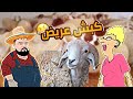 الاستاذة و بيلو كبش العيد 