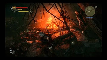 Zaklínač 2 / Wiedźmin 2 - gameplay part 251 - hard difficulty