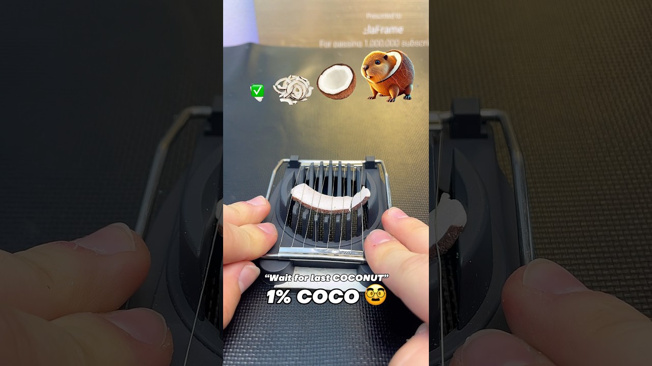 Coconut EVOLUTION 😜😈 