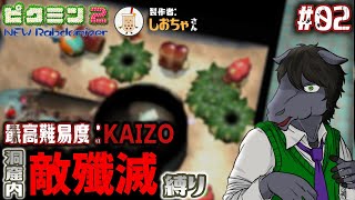 【ピクミン2 New Randomizer】洞窟内敵殲滅縛りに挑戦： 02【EquuStream V#440】
