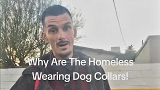 The Homeless Are Wearing Dog Collars Why?😢💔