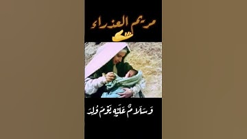 تلاوة مبكية سورة مريم