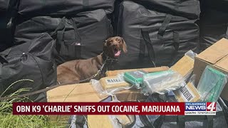 OBN K9 helps find cocaine, marijuana moving across Oklahoma