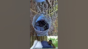 “Pure Water from Nature 🌾 | DIY Eco-Friendly Water Purifier”